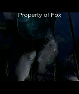 Filename=2006-AquamarineFeaturette-FishyCecilia-022.jpg
Filesize=22KiB
Dimensions=720x480
Date added=Aug 25, 2021 2006-AquamarineFeaturette-FishyCecilia-022.jpg