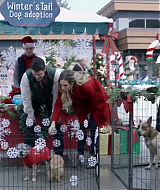 2017-FourChristmasandWedding-0403.jpg
