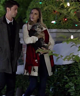 2017-FourChristmasandWedding-2221.jpg