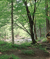2023-LoveInTheGreatSmokyMountains-0918.jpg