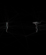 2025_Site-001.jpg