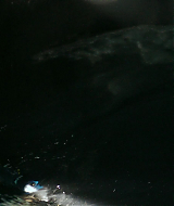 RescueHi-SurfS01E08-304.jpg